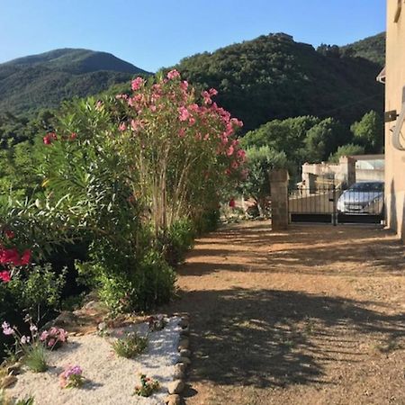 Bel Appartement Type F3 Amélie-les-Bains-Palalda Exterior foto